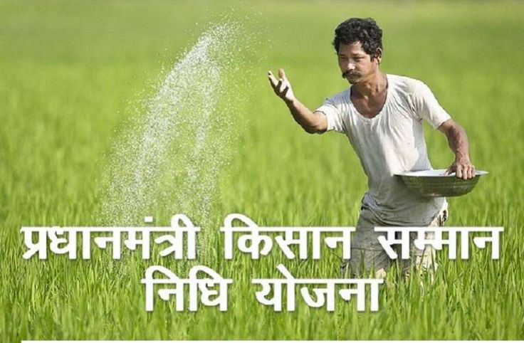 PM Kisan Samman Nidhi Yojana 20वीं किस्त 2025: यहाँ जानें अगली किस्त की संभावित तारीख 3 pm kisan yojana 20 kista