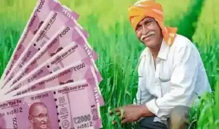 PM Kisan Samman Nidhi Yojana 20वीं किस्त 2025: यहाँ जानें अगली किस्त की संभावित तारीख 2 pm kisan