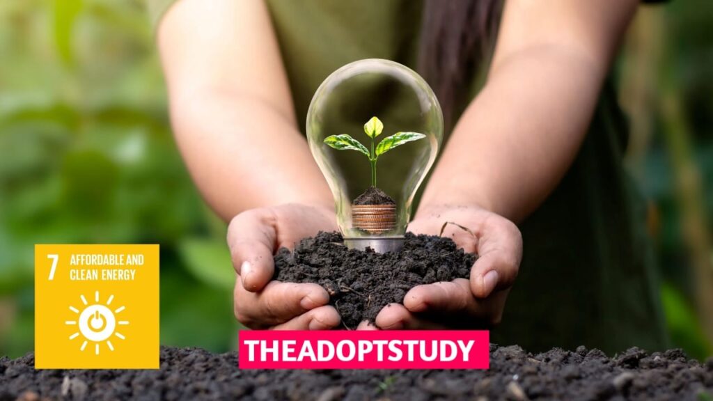 SDG लक्ष्य 7: सभी के लिए सस्ती, विश्वसनीय, टिकाऊ और आधुनिक ऊर्जा – BPSC & UPSC के लिए l 4 WhatsApp Image 2025 08 01 at 10.34.33 AM 1